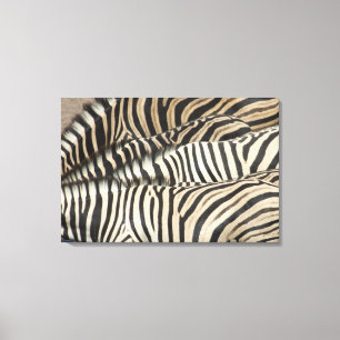 Obenliegende Ansicht von Burchells Zebra Leinwanddruck