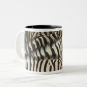 Obenliegende Ansicht von Burchells Zebra Zweifarbige Tasse (Vorderseite Links)