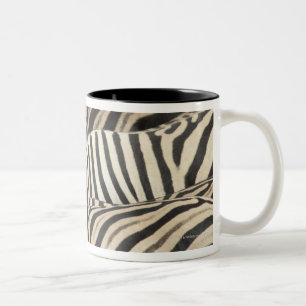 Obenliegende Ansicht von Burchells Zebra Zweifarbige Tasse