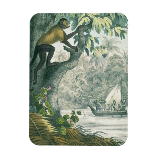 Obere Ausläufer des Amazonas, von 'Das Buch der Wi Magnet (Vertikal)