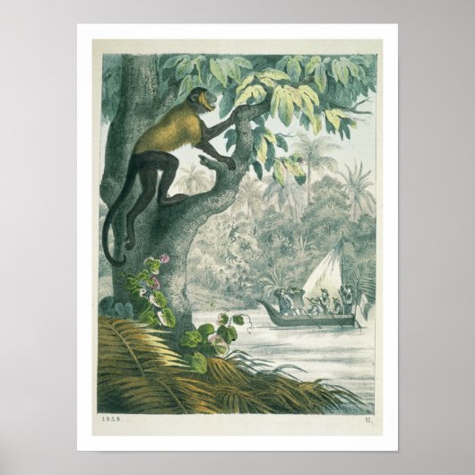 Obere Ausläufer des Amazonas, von 'Das Buch der Wi Poster (Vorne)