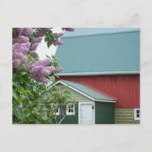 Obere Halbinsel Michigan Roter Barn Lilac Postcard Postkarte