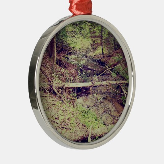 Obere Halbinsel Silbernes Ornament (Rechts)