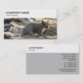 obere Leiste - Graue Eichhörnchen-Visitenkarte Visitenkarte (Vorne/Hinten)