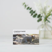 obere Leiste - Graue Eichhörnchen-Visitenkarte Visitenkarte (Stehend Vorderseite)