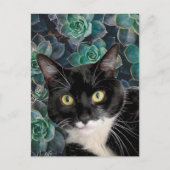 obere Postkarte (Vorderseite)