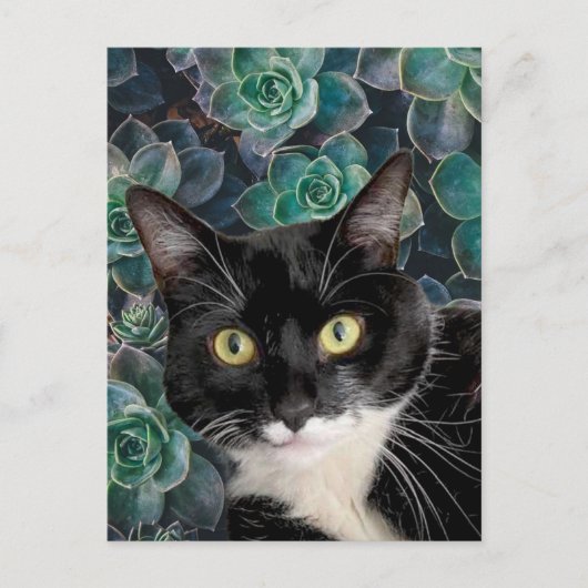 obere Postkarte (Vorderseite)