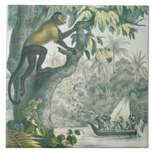 Obere Reichweiten des Amazonas, von 'DAS Buch der Fliese (Vorderseite)