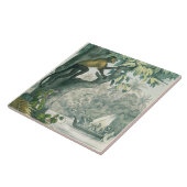 Obere Reichweiten des Amazonas, von 'DAS Buch der Fliese (Seite)