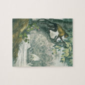 Obere Reichweiten des Amazonas, von 'DAS Buch der Puzzle (Horizontal)