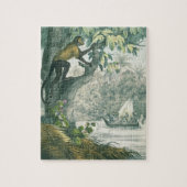 Obere Reichweiten des Amazonas, von 'DAS Buch der Puzzle (Vertikal)