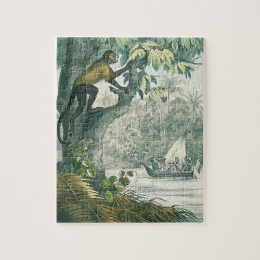 Obere Reichweiten des Amazonas, von 'DAS Buch der Puzzle (Vertikal)