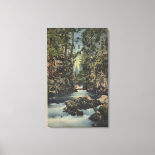 Obere Schlucht Ansicht des Schurken- Fluss-, Leinwanddruck