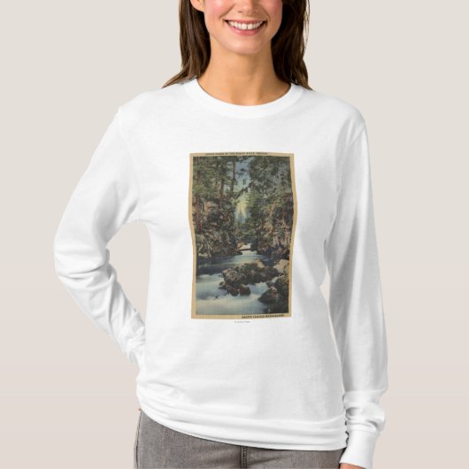 Obere Schlucht Ansicht des Schurken- Fluss-, T-Shirt (Vorderseite)