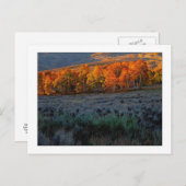 "Obere Sommerwiese" Postkarte (Vorne/Hinten)