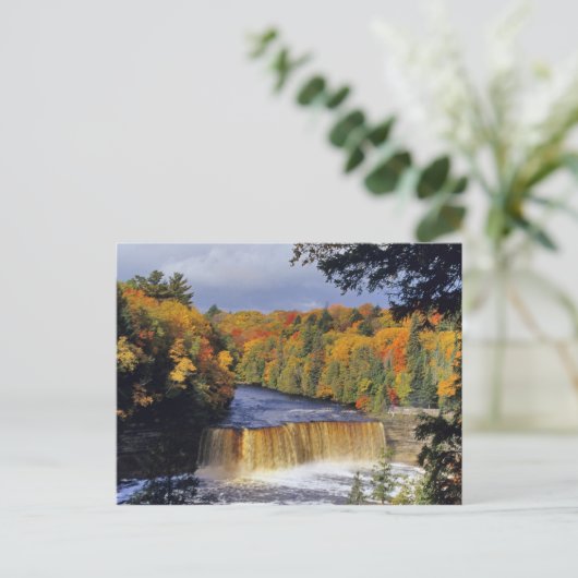 Obere Tahquamenon Falls in UP Michigan im Herbst Postkarte (Stehend Vorderseite)