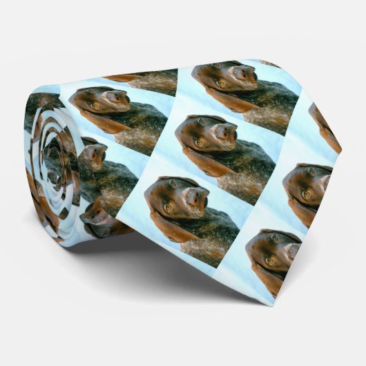 Oberer Hund Krawatte (Gerollt)