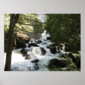 Oberer Johnson Falls Poster (Vorne)