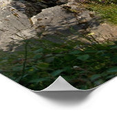 Oberer See, Killarney Print Poster (Ecke)