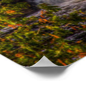 Oberer Wasserfall mit Herbstfarben Poster (Ecke)