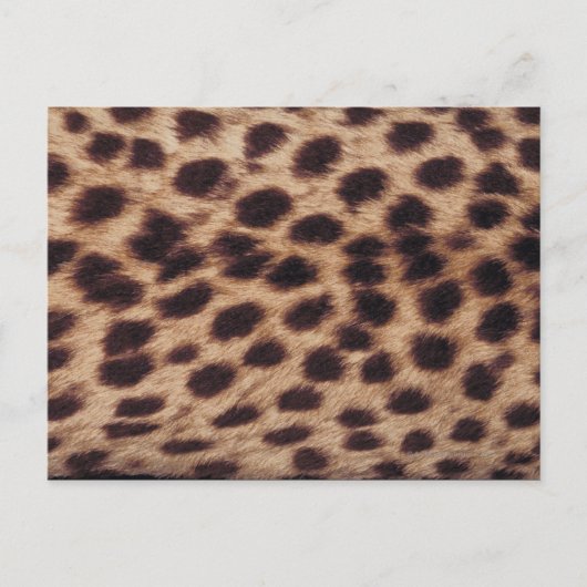 Oberfläche der gepunkteten Katze Postkarte (Vorderseite)