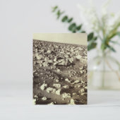 Oberfläche der Mars Postkarte (Stehend Vorderseite)