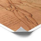 Oberflächenanatomie der unteren Extremität, Da Vin Poster (Ecke)