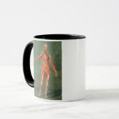Oberflächliches muskulöses System der Front des BO Tasse (Vorderseite Links)