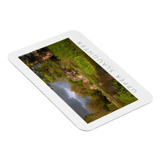 Obergeschlacht Magnet (Rechte Seite)