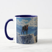 Oberhalsi Pack Goat in Idaho Tasse (Links)