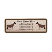 Oberhasli Milchziege Rücksendeadresse (Vorne)