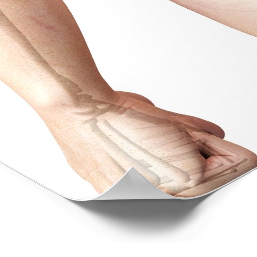 Oberkörper Knochen 2 Poster (Ecke)