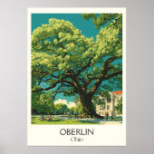 Oberlin Ohio Uni Stadt Progressive Gemeinschaft Poster (Vorne)