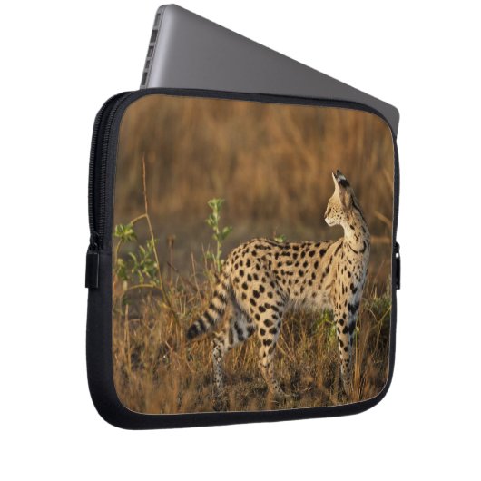 Obermara, Masai Mara Game Reserve, Kenia, Laptopschutzhülle (Vorne Rechts)