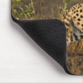 Obermara, Masai Mara Game Reserve, Kenia, Mousepad (Ecke)
