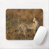 Obermara, Masai Mara Game Reserve, Kenia, Mousepad (Mit Mouse)