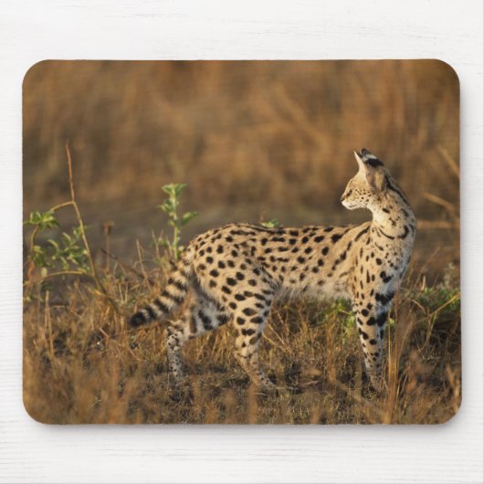 Obermara, Masai Mara Game Reserve, Kenia, Mousepad (Vorne)