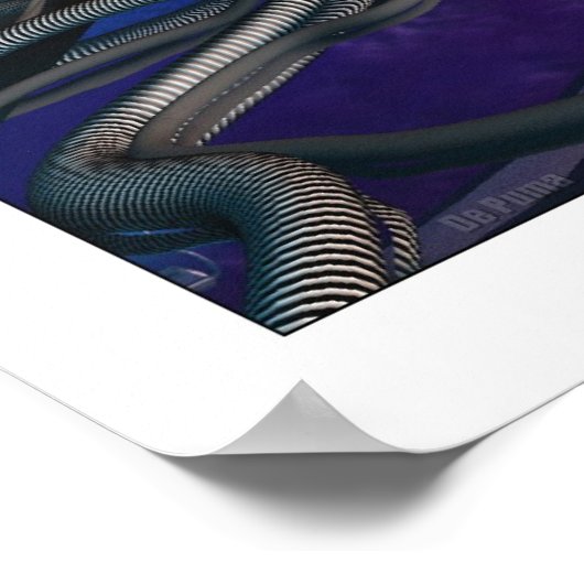 Oberon Erholung Area #6 Poster (Ecke)