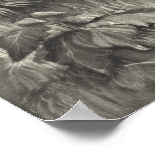 Oberst Davy Crockett 1839 Poster (Ecke)