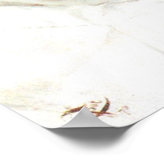 Oberst Frederick Gustavus Burnaby von James Tissot Poster (Ecke)