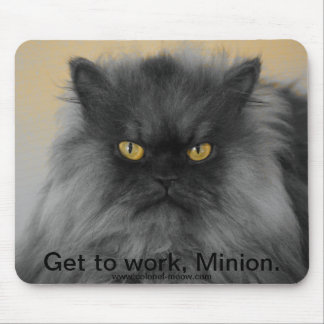 Oberst Meow Mousepad