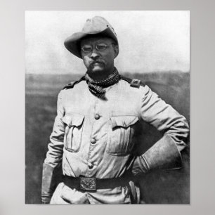 Oberst Theodore Roosevelt Poster