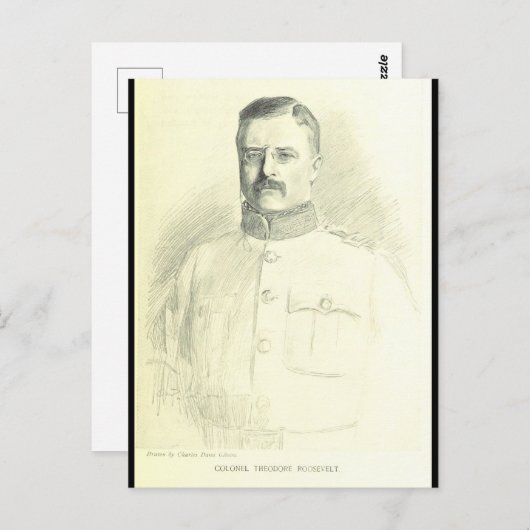 Oberst Theodore Roosevelt Postkarte (Vorne/Hinten)