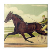 OBERSTER mürrischer Champion Fliese (Vorderseite)