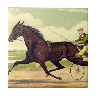 OBERSTER mürrischer Champion Fliese