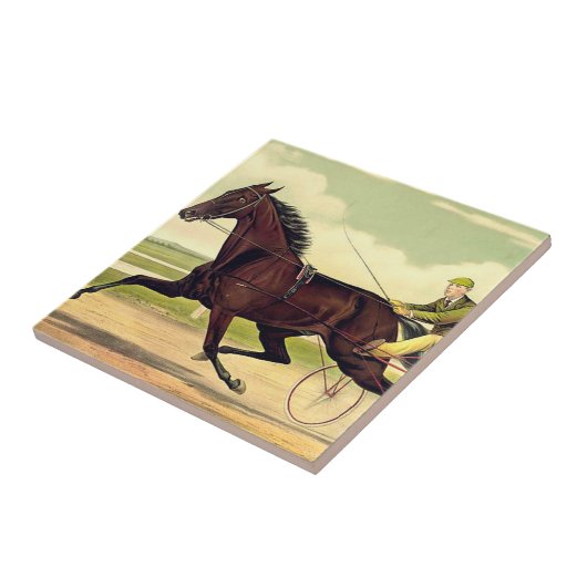 OBERSTER mürrischer Champion Fliese (Seite)