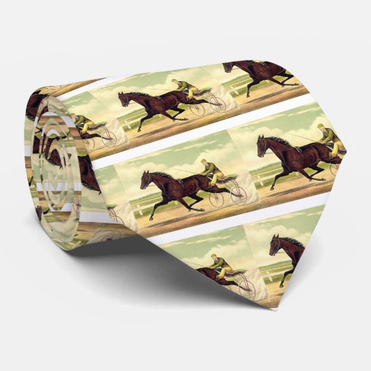 OBERSTER mürrischer Champion Krawatte (Gerollt)