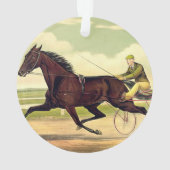 OBERSTER mürrischer Champion Ornament (Rückseite)
