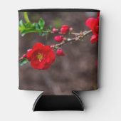 Oberteil Dosenkühler (Vorderseite)