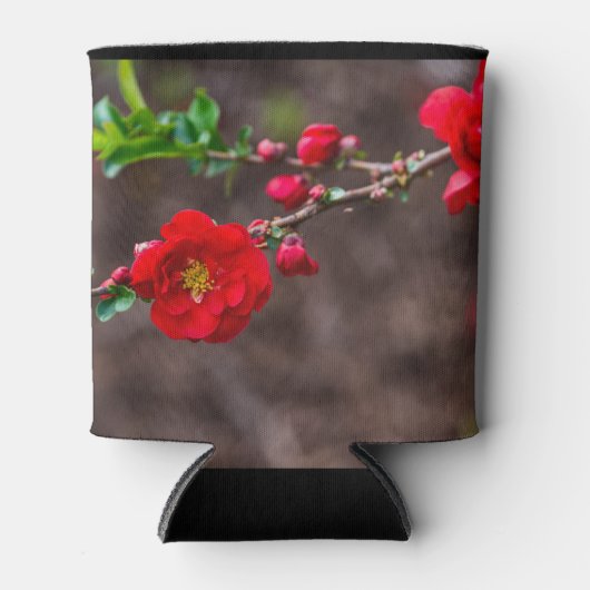 Oberteil Dosenkühler (Vorderseite)